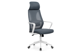 Компьютерное кресло Golem dark gray / white
