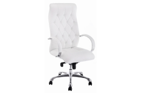 Компьютерное кресло Osiris white / satin chrome
