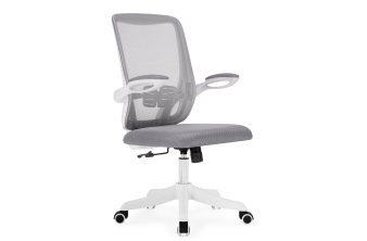 Компьютерное кресло Salem gray / white