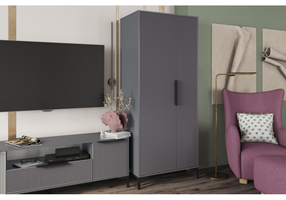 Шкаф Иадама двухстворчатый графит / графит софт