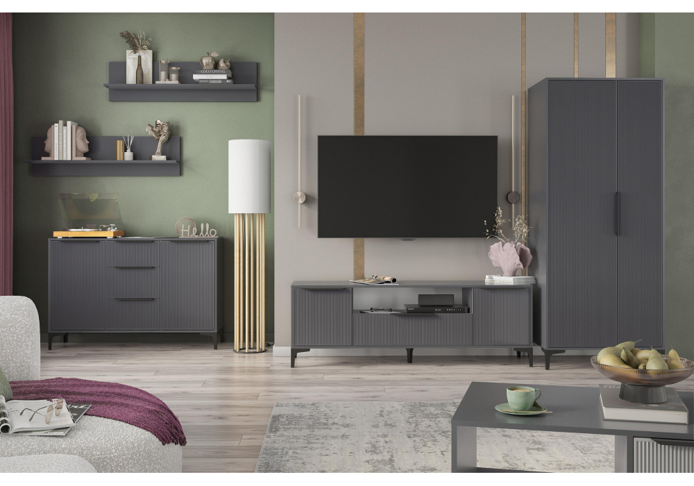 Шкаф Иадама двухстворчатый графит / графит софт