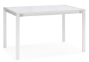 Стеклянный стол Линдисфарн 120(170)х80х75 белый кристалл / белый