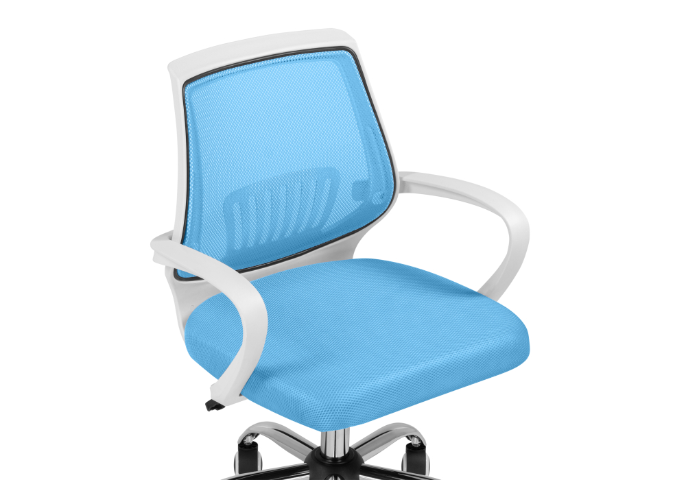 Компьютерное кресло Ergoplus blue / white