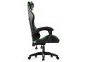 Компьютерное кресло Rodas black / green